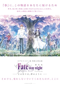 fate stay night heven s feel iii spring song ビデオマスター版